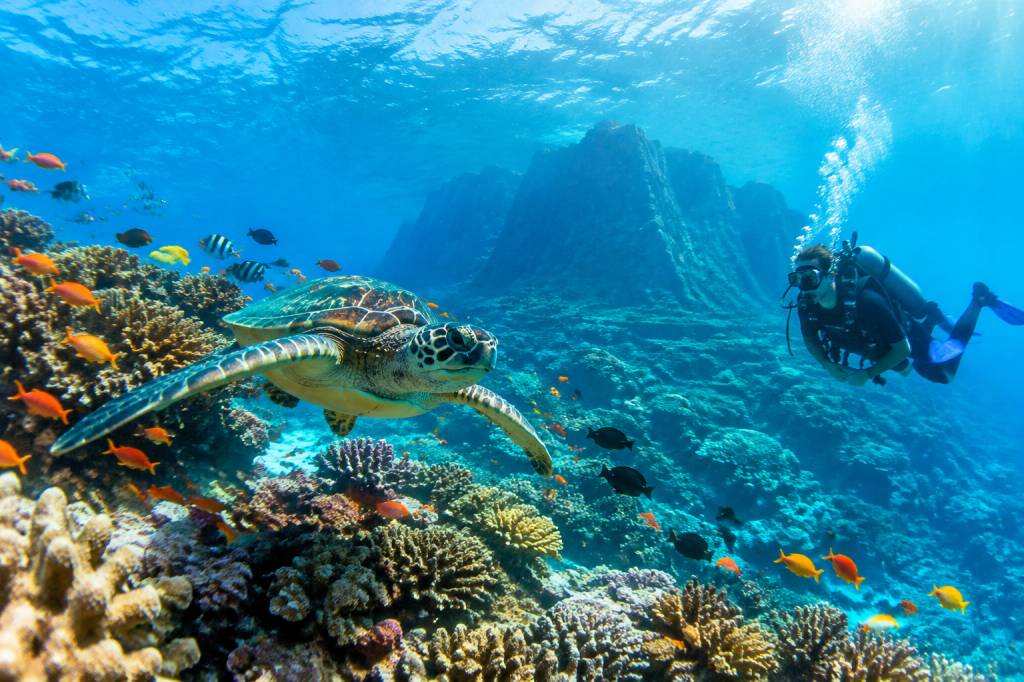 Plongée à l’île Maurice : les meilleurs spots pour explorer les fonds marins