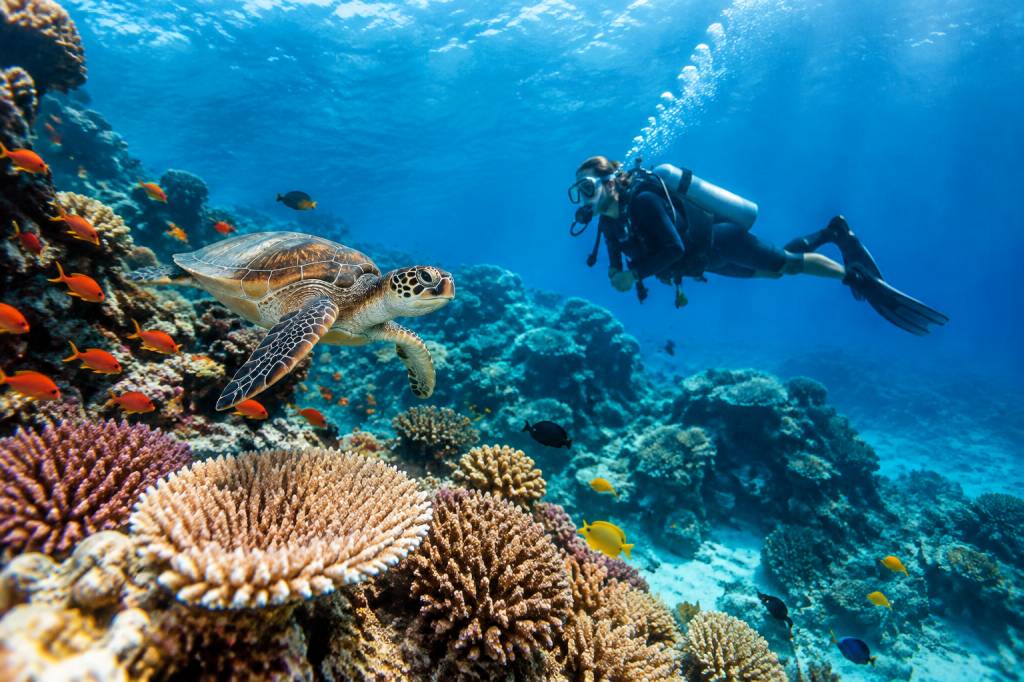Nouvelle-Calédonie plongée : les meilleurs sites et conseils pour explorer les fonds marins