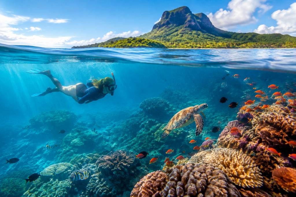 Mayotte plongée : les meilleurs spots pour découvrir les fonds marins de l’île