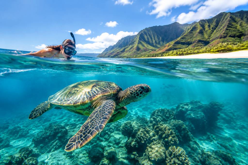 Hawaii tortue : où observer les tortues marines lors d’un voyage à Hawaï